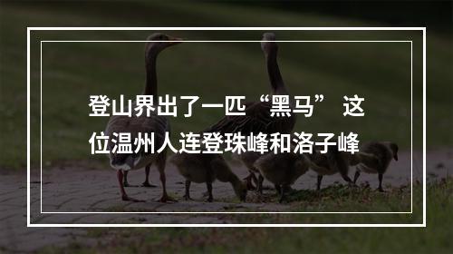 登山界出了一匹“黑马” 这位温州人连登珠峰和洛子峰