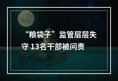 “粮袋子”监管层层失守 13名干部被问责