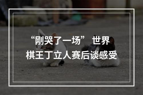 “刚哭了一场” 世界棋王丁立人赛后谈感受