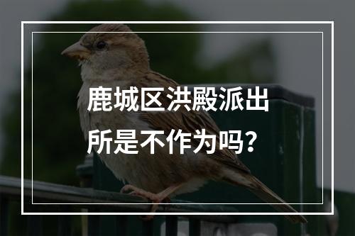 鹿城区洪殿派出所是不作为吗？