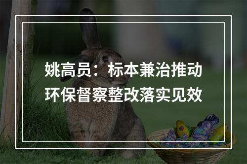 姚高员：标本兼治推动环保督察整改落实见效