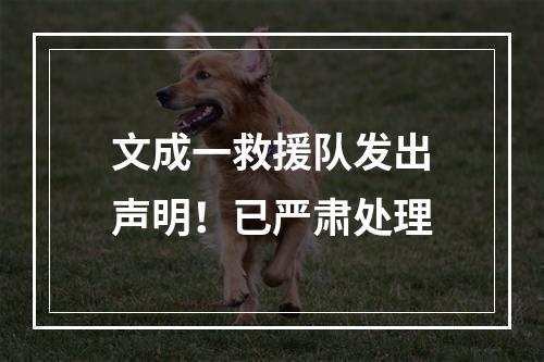 文成一救援队发出声明！已严肃处理