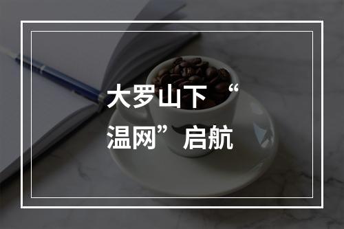 大罗山下 “温网”启航