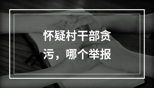 怀疑村干部贪污，哪个举报