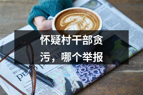 怀疑村干部贪污，哪个举报