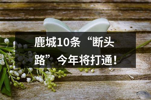鹿城10条“断头路”今年将打通！