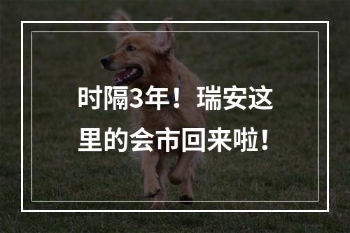 时隔3年！瑞安这里的会市回来啦！