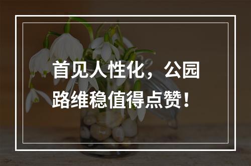 首见人性化，公园路维稳值得点赞！