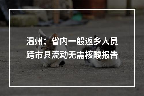 温州：省内一般返乡人员跨市县流动无需核酸报告