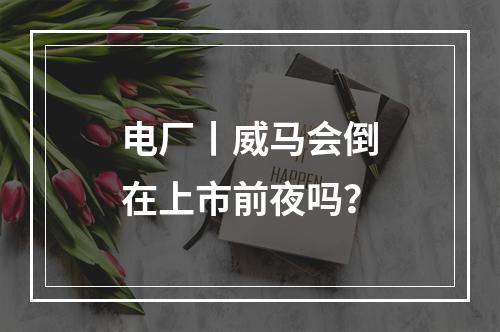 电厂丨威马会倒在上市前夜吗？