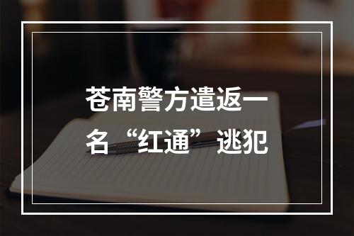 苍南警方遣返一名“红通”逃犯