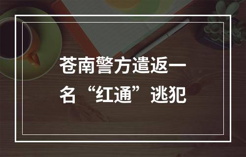 苍南警方遣返一名“红通”逃犯