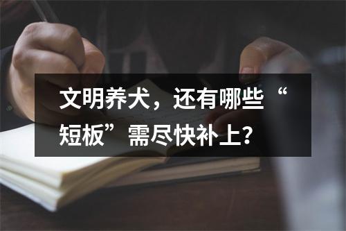 文明养犬，还有哪些“短板”需尽快补上？