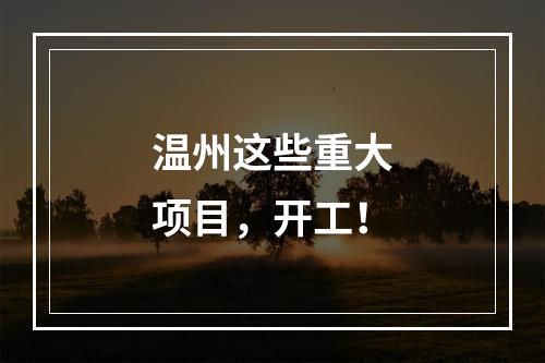 温州这些重大项目，开工！