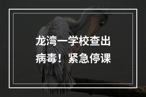龙湾一学校查出病毒！紧急停课