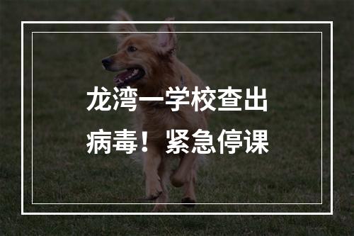 龙湾一学校查出病毒！紧急停课