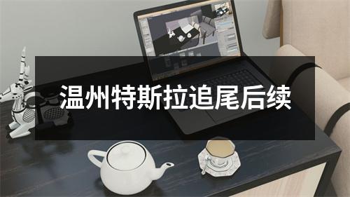 温州特斯拉追尾后续