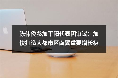 陈伟俊参加平阳代表团审议：加快打造大都市区南翼重要增长极