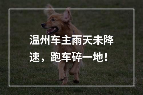 温州车主雨天未降速，跑车碎一地！