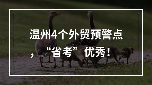 温州4个外贸预警点，“省考”优秀！