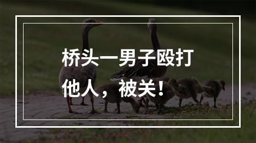 桥头一男子殴打他人，被关！
