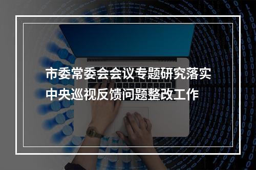 市委常委会会议专题研究落实中央巡视反馈问题整改工作