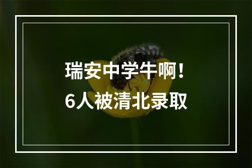瑞安中学牛啊！6人被清北录取