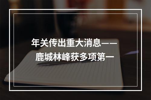 年关传出重大消息——   鹿城林峰获多项第一
