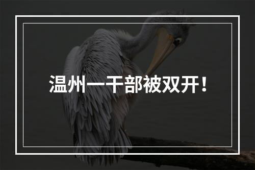 温州一干部被双开！