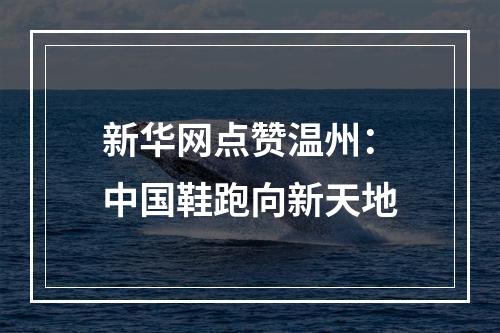 新华网点赞温州：中国鞋跑向新天地