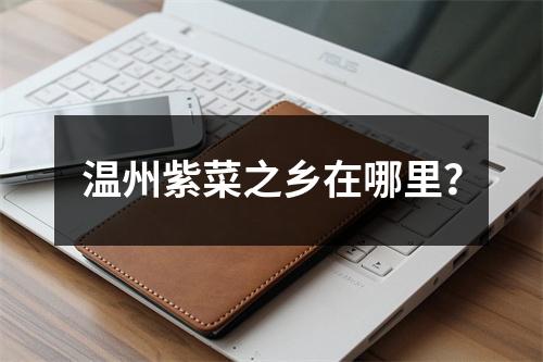 温州紫菜之乡在哪里？