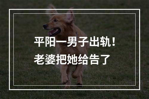 平阳一男子出轨！老婆把她给告了