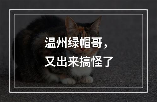 温州绿帽哥，又出来搞怪了
