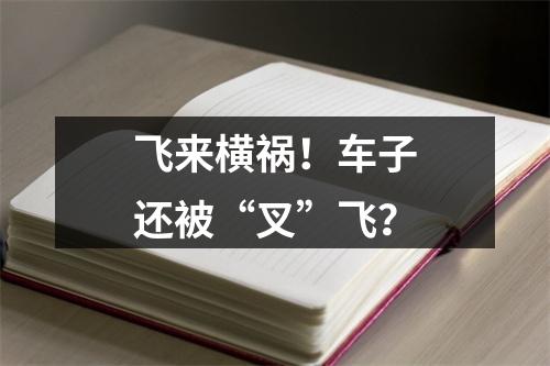 飞来横祸！车子还被“叉”飞？