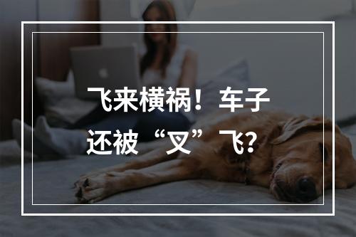飞来横祸！车子还被“叉”飞？