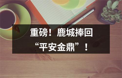 重磅！鹿城捧回“平安金鼎”！