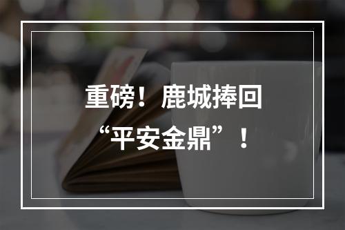 重磅！鹿城捧回“平安金鼎”！