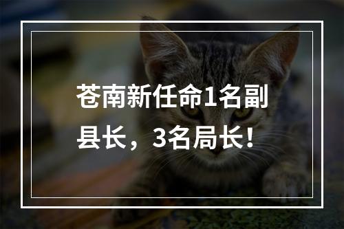 苍南新任命1名副县长，3名局长！