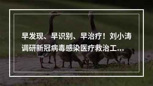 早发现、早识别、早治疗！刘小涛调研新冠病毒感染医疗救治工作