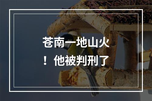苍南一地山火！他被判刑了