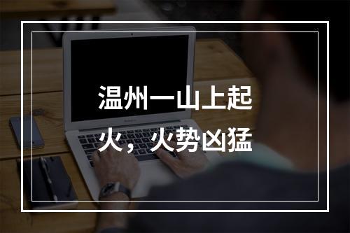 温州一山上起火，火势凶猛