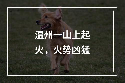 温州一山上起火，火势凶猛