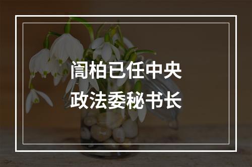 訚柏已任中央政法委秘书长