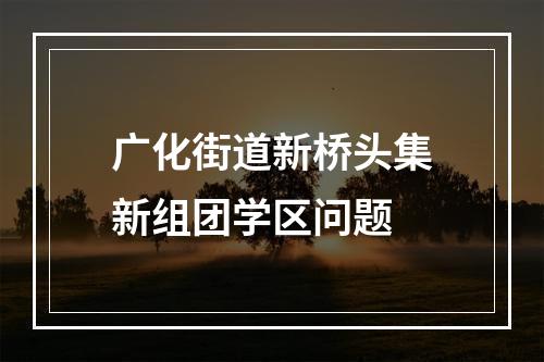 广化街道新桥头集新组团学区问题