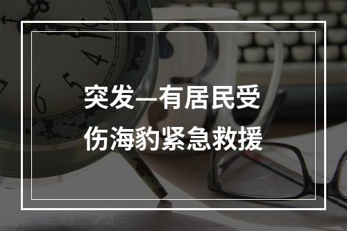 突发—有居民受伤海豹紧急救援