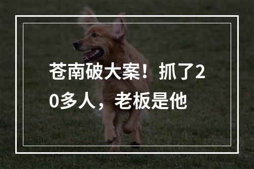 苍南破大案！抓了20多人，老板是他
