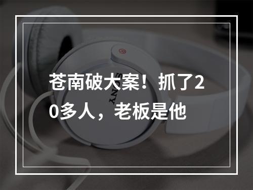 苍南破大案！抓了20多人，老板是他