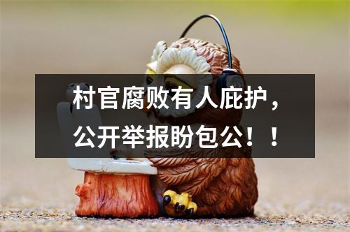 村官腐败有人庇护，公开举报盼包公！！
