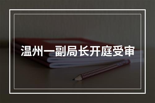 温州一副局长开庭受审