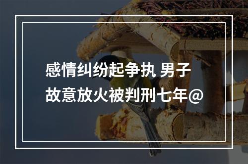 感情纠纷起争执 男子故意放火被判刑七年@